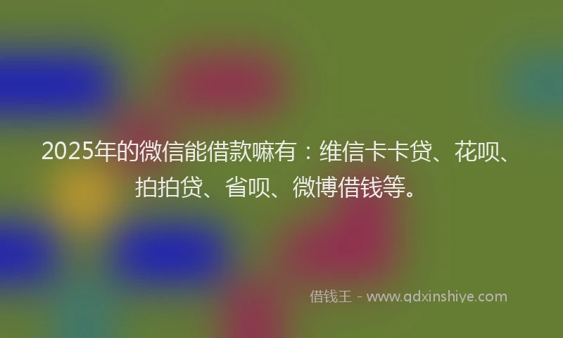 2025年的微信能借款嘛有：维信卡卡贷、花呗、拍拍贷、省呗、微博借钱等。