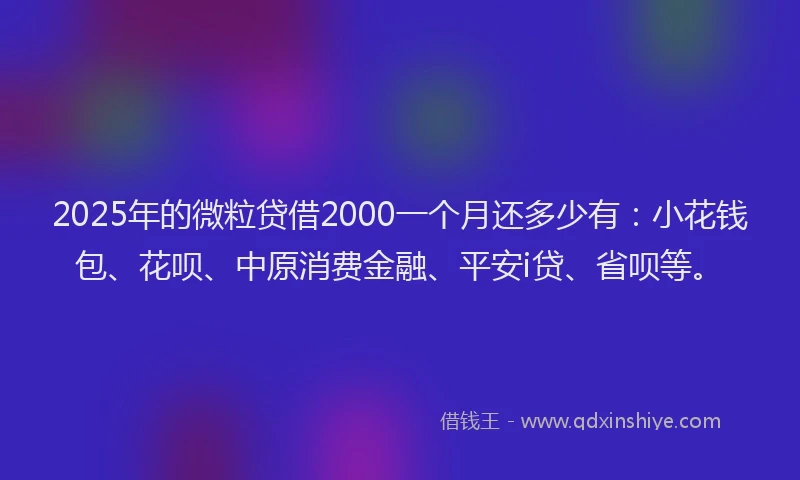 2025年的微粒贷借2000一个月还多少有：小花钱包、花呗、中原消费金融、平安i贷、省呗等。