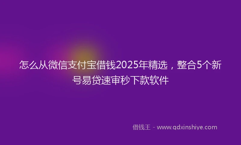 怎么从微信支付宝借钱2025年精选，整合5个新号易贷速审秒下款软件