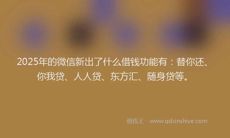 2025年的微信新出了什么借钱功能有：替你还、你我贷、人人贷、东方汇、随身贷等。