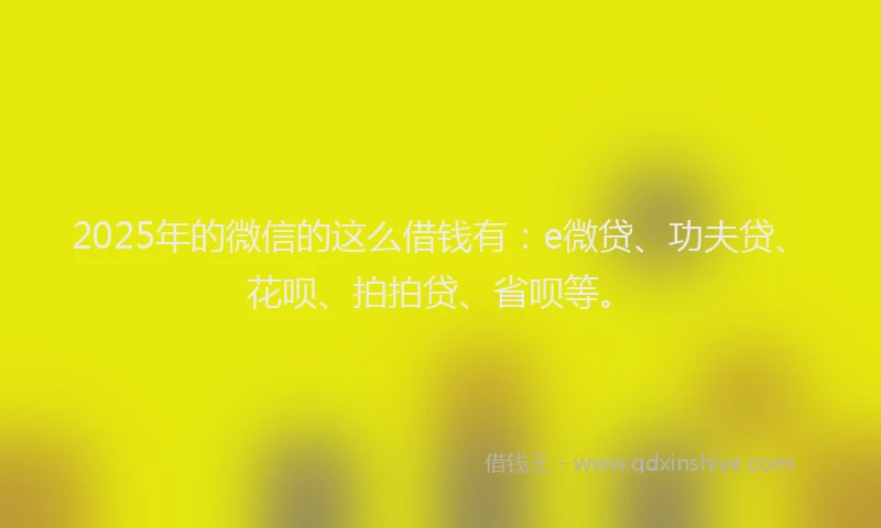 2025年的微信的这么借钱有：e微贷、功夫贷、花呗、拍拍贷、省呗等。