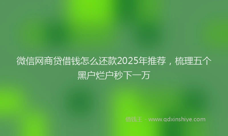 微信网商贷借钱怎么还款2025年推荐，梳理五个黑户烂户秒下一万