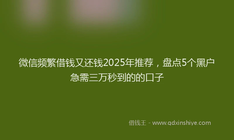 微信频繁借钱又还钱2025年推荐，盘点5个黑户急需三万秒到的的口子