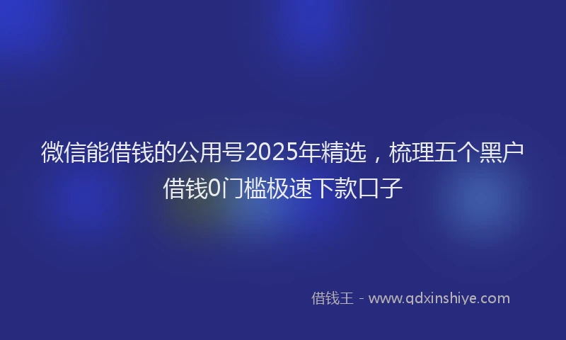 微信能借钱的公用号2025年精选，梳理五个黑户借钱0门槛极速下款口子