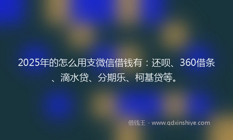 2025年的怎么用支微信借钱有：还呗、360借条、滴水贷、分期乐、柯基贷等。