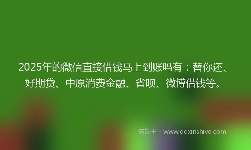 2025年的微信直接借钱马上到账吗有:替你还、好期贷、中原消费金融、省呗、微博借钱等。