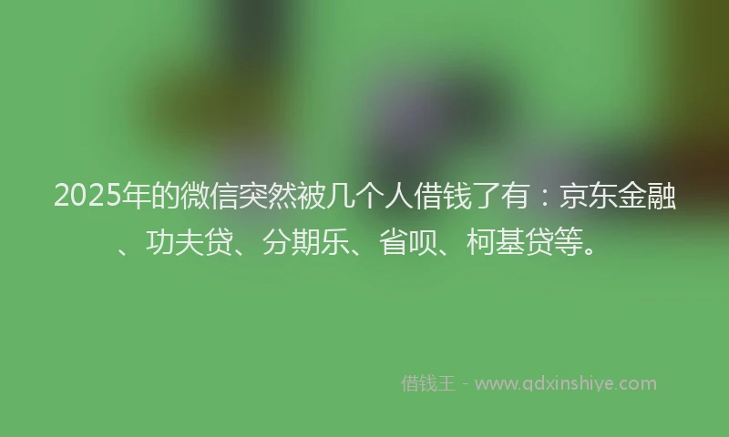 2025年的微信突然被几个人借钱了有：京东金融、功夫贷、分期乐、省呗、柯基贷等。