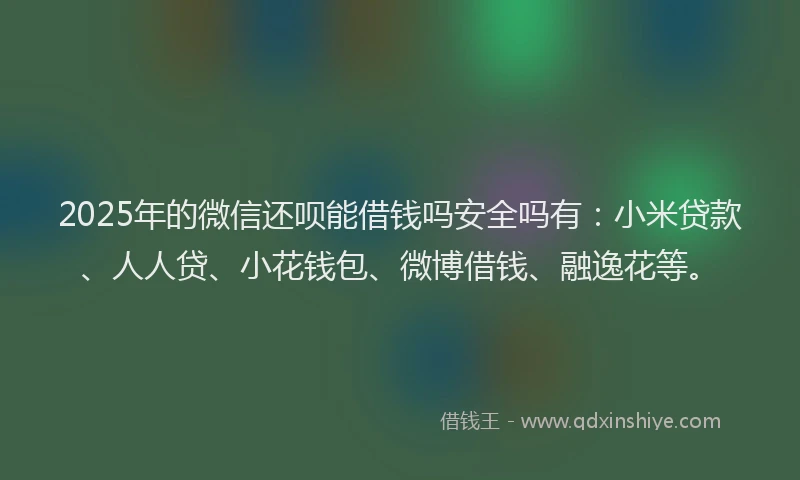 2025年的微信还呗能借钱吗安全吗有：小米贷款、人人贷、小花钱包、微博借钱、融逸花等。
