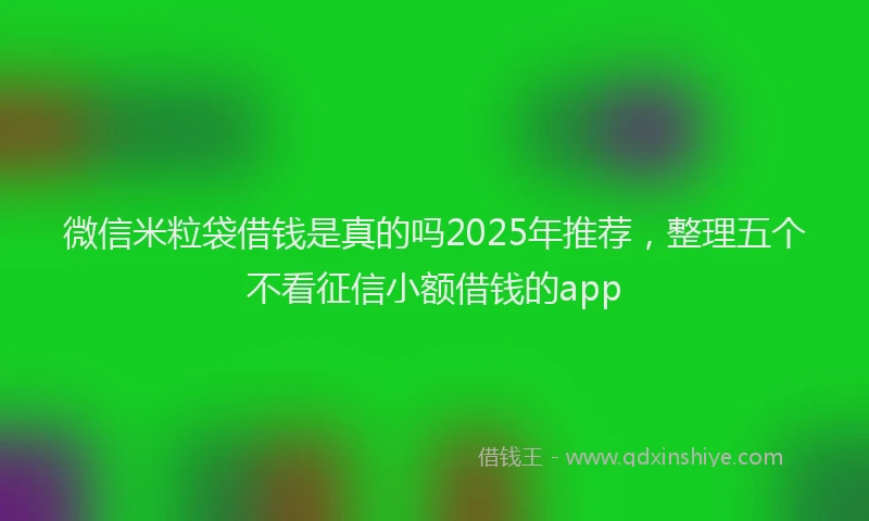 微信米粒袋借钱是真的吗2025年推荐，整理五个不看征信小额借钱的app