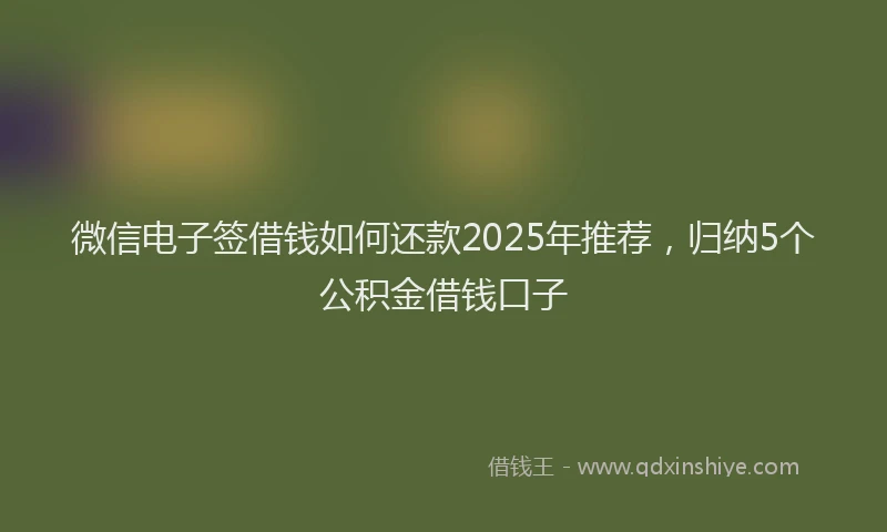 微信电子签借钱如何还款2025年推荐，归纳5个公积金借钱口子