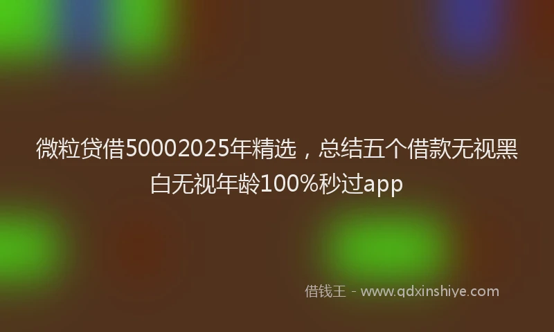 微粒贷借50002025年精选，总结五个借款无视黑白无视年龄100%秒过app