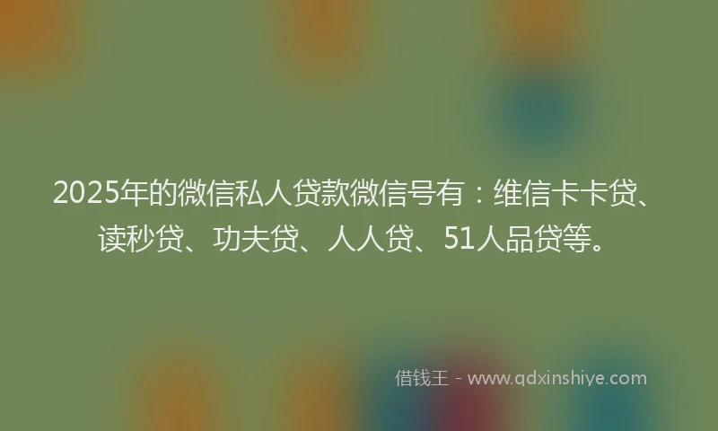 2025年的微信私人贷款微信号有：维信卡卡贷、读秒贷、功夫贷、人人贷、51人品贷等。