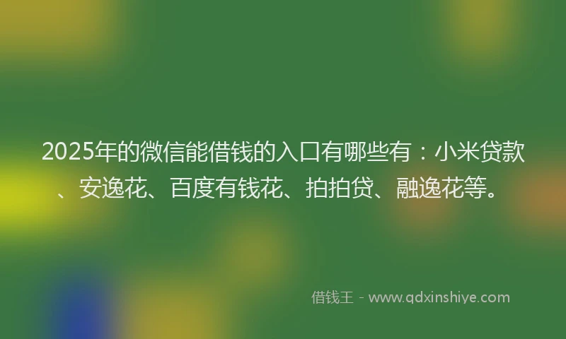 2025年的微信能借钱的入口有哪些有：小米贷款、安逸花、百度有钱花、拍拍贷、融逸花等。