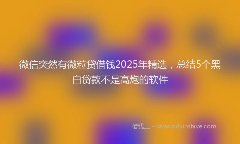 微信突然有微粒贷借钱2025年精选，总结5个黑白贷款不是高炮的软件