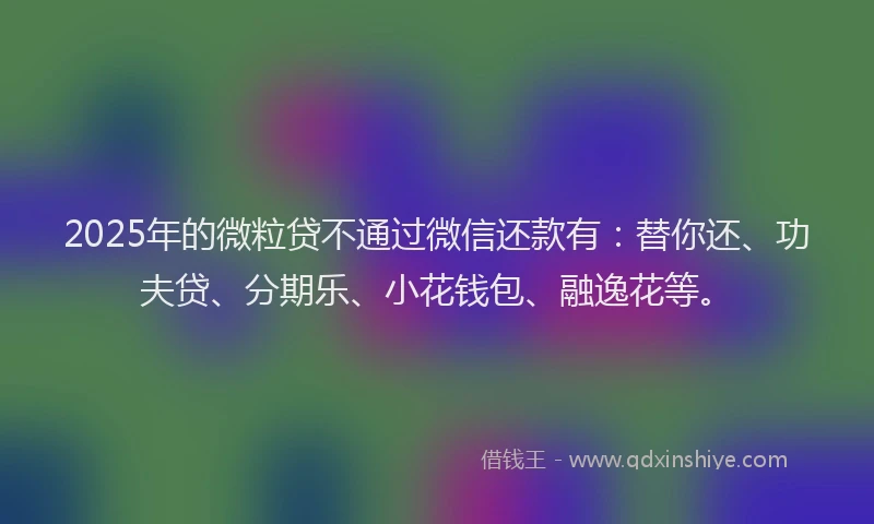 2025年的微粒贷不通过微信还款有：替你还、功夫贷、分期乐、小花钱包、融逸花等。