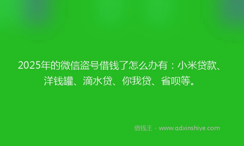 2025年的微信盗号借钱了怎么办有：小米贷款、洋钱罐、滴水贷、你我贷、省呗等。