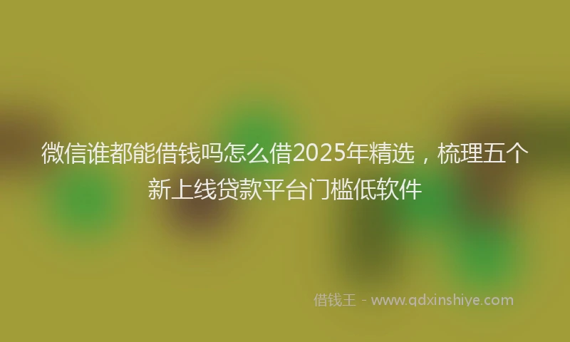 微信谁都能借钱吗怎么借2025年精选，梳理五个新上线贷款平台门槛低软件