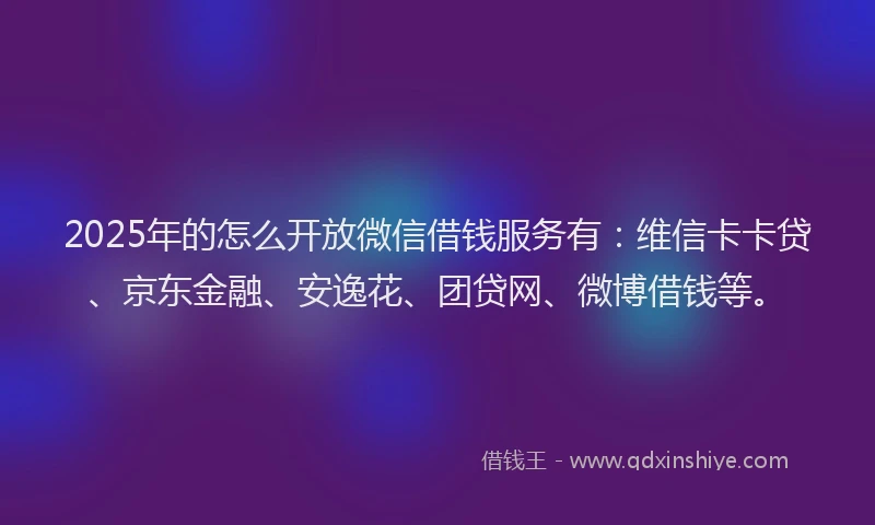 2025年的怎么开放微信借钱服务有：维信卡卡贷、京东金融、安逸花、团贷网、微博借钱等。