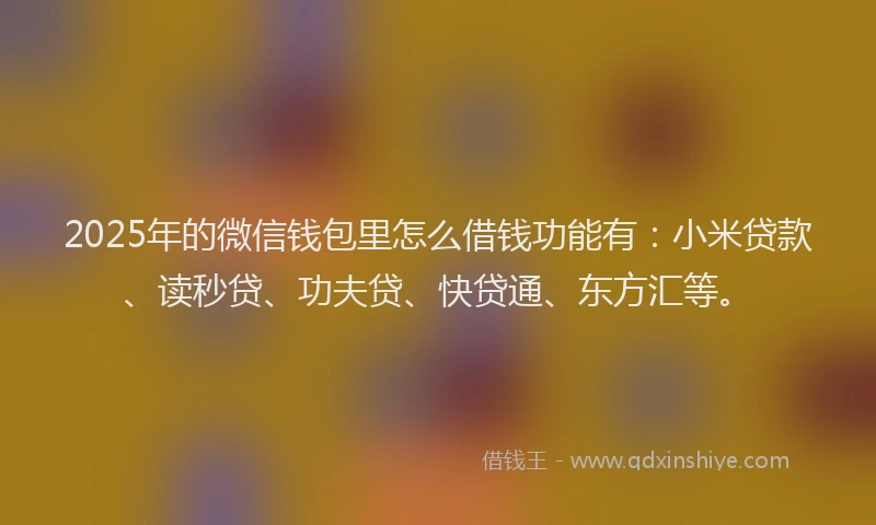 2025年的微信钱包里怎么借钱功能有：小米贷款、读秒贷、功夫贷、快贷通、东方汇等。