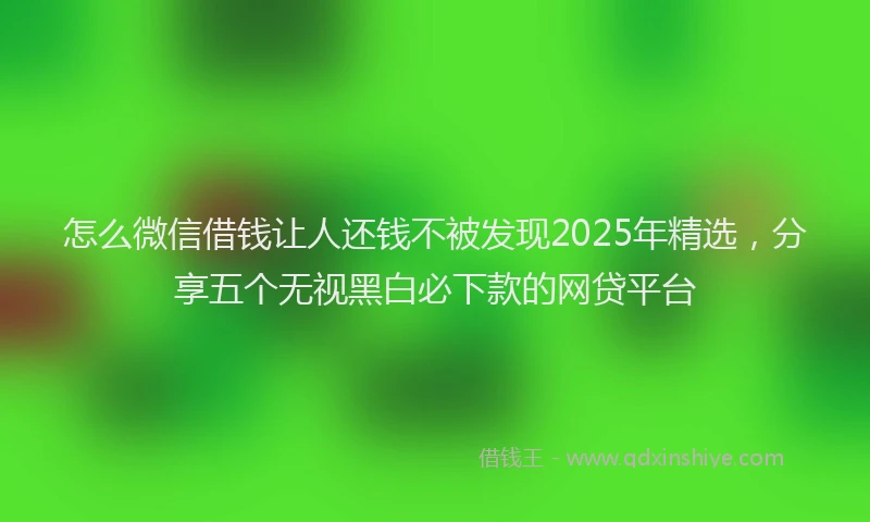 怎么微信借钱让人还钱不被发现2025年精选，分享五个无视黑白必下款的网贷平台