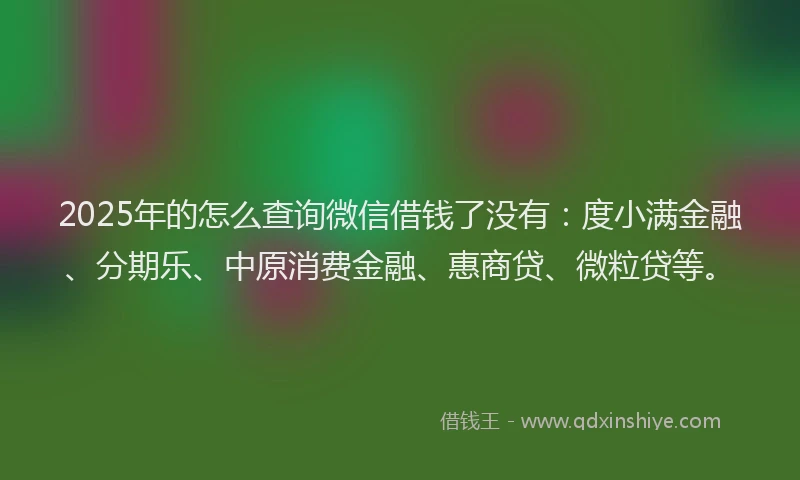 2025年的怎么查询微信借钱了没有：度小满金融、分期乐、中原消费金融、惠商贷、微粒贷等。