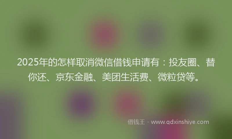2025年的怎样取消微信借钱申请有：投友圈、替你还、京东金融、美团生活费、微粒贷等。