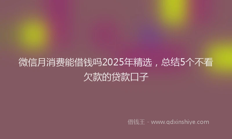 微信月消费能借钱吗2025年精选，总结5个不看欠款的贷款口子