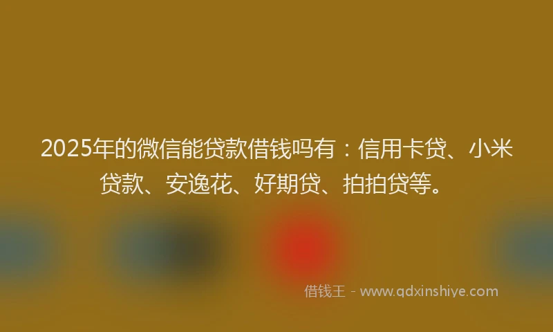 2025年的微信能贷款借钱吗有：信用卡贷、小米贷款、安逸花、好期贷、拍拍贷等。