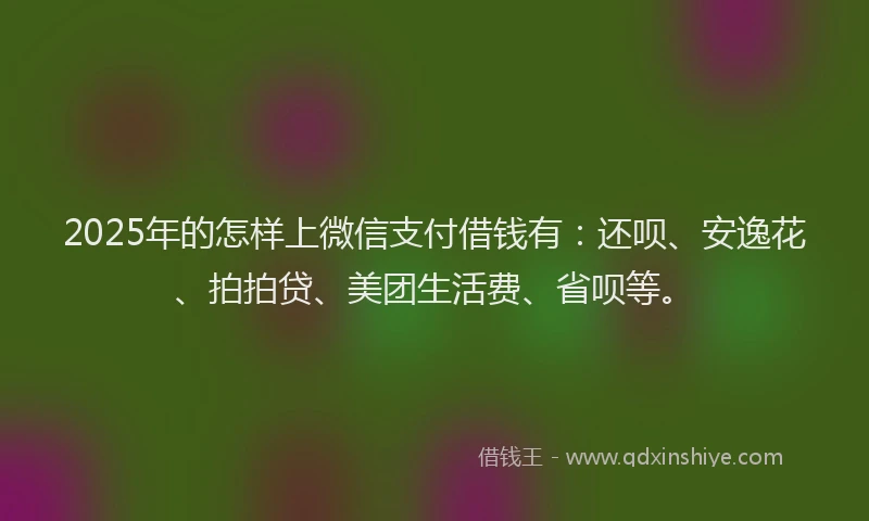 2025年的怎样上微信支付借钱有：还呗、安逸花、拍拍贷、美团生活费、省呗等。