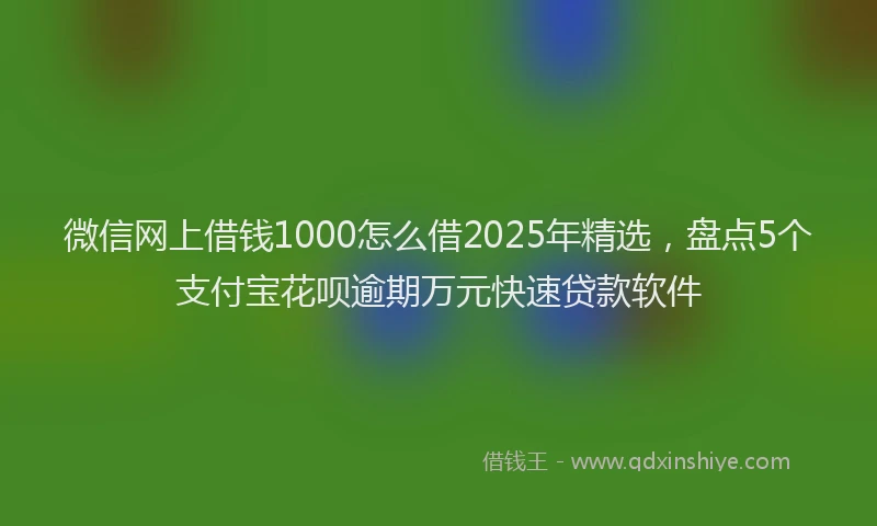 微信网上借钱1000怎么借2025年精选，盘点5个支付宝花呗逾期万元快速贷款软件
