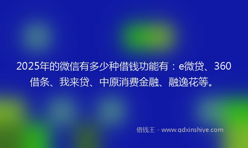 2025年的微信有多少种借钱功能有：e微贷、360借条、我来贷、中原消费金融、融逸花等。