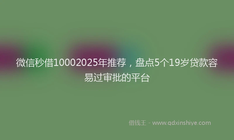 微信秒借10002025年推荐，盘点5个19岁贷款容易过审批的平台