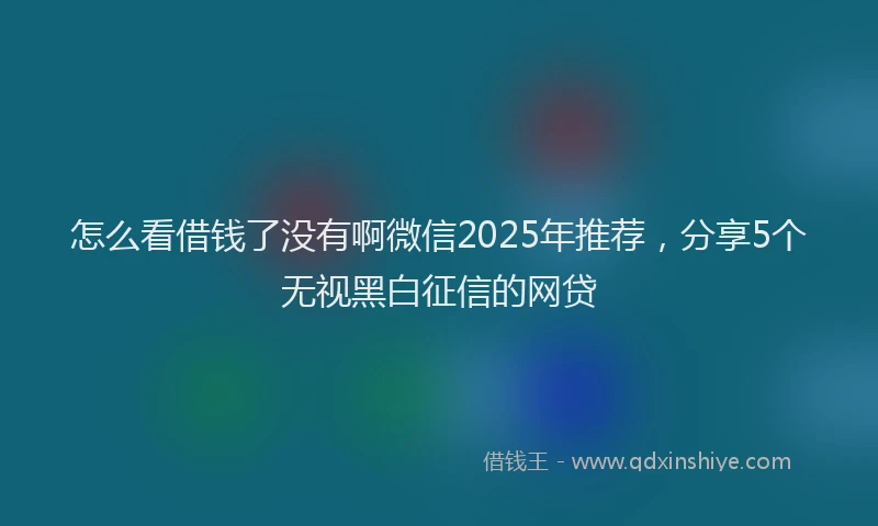 怎么看借钱了没有啊微信2025年推荐，分享5个无视黑白征信的网贷