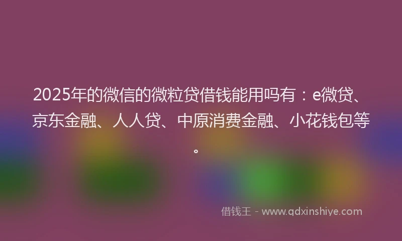 2025年的微信的微粒贷借钱能用吗有：e微贷、京东金融、人人贷、中原消费金融、小花钱包等。