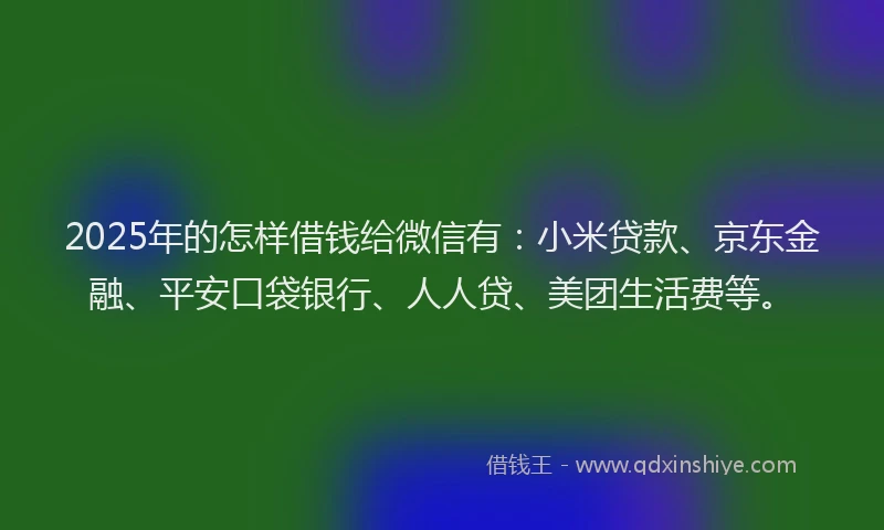 2025年的怎样借钱给微信有：小米贷款、京东金融、平安口袋银行、人人贷、美团生活费等。
