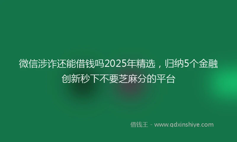 微信涉诈还能借钱吗2025年精选，归纳5个金融创新秒下不要芝麻分的平台