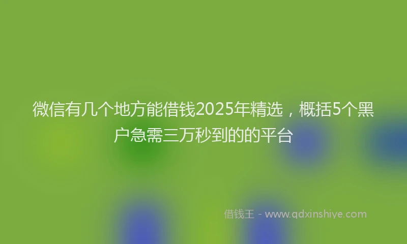 微信有几个地方能借钱2025年精选，概括5个黑户急需三万秒到的的平台