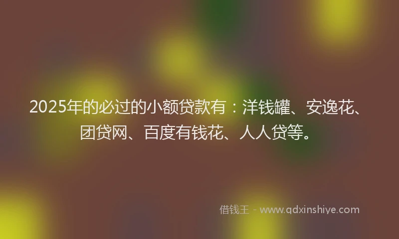 2025年的必过的小额贷款有：洋钱罐、安逸花、团贷网、百度有钱花、人人贷等。