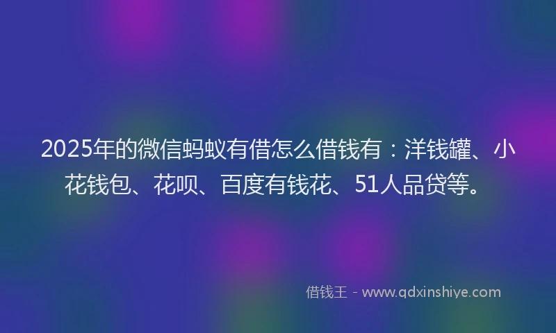 2025年的微信蚂蚁有借怎么借钱有：洋钱罐、小花钱包、花呗、百度有钱花、51人品贷等。