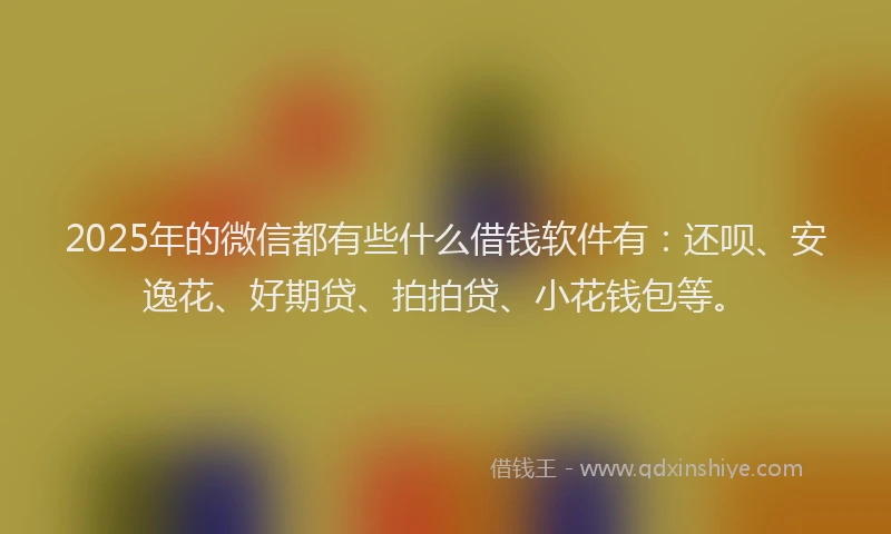 2025年的微信都有些什么借钱软件有：还呗、安逸花、好期贷、拍拍贷、小花钱包等。