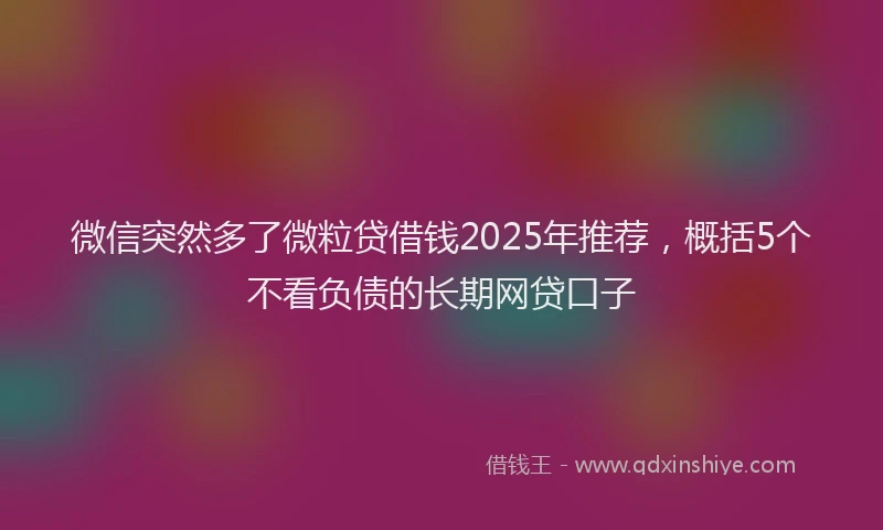 微信突然多了微粒贷借钱2025年推荐，概括5个不看负债的长期网贷口子