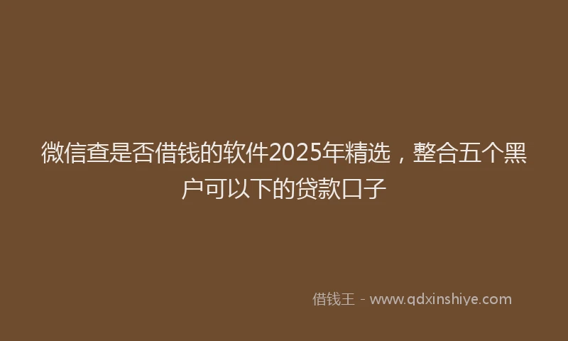 微信查是否借钱的软件2025年精选，整合五个黑户可以下的贷款口子