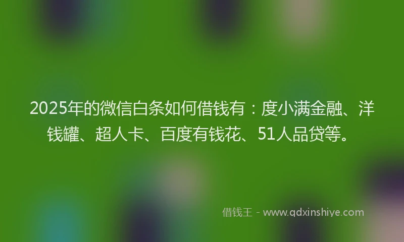 2025年的微信白条如何借钱有：度小满金融、洋钱罐、超人卡、百度有钱花、51人品贷等。