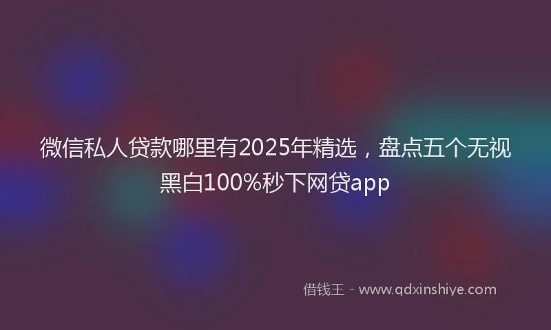 微信私人贷款哪里有2025年精选，盘点五个无视黑白100%秒下网贷app
