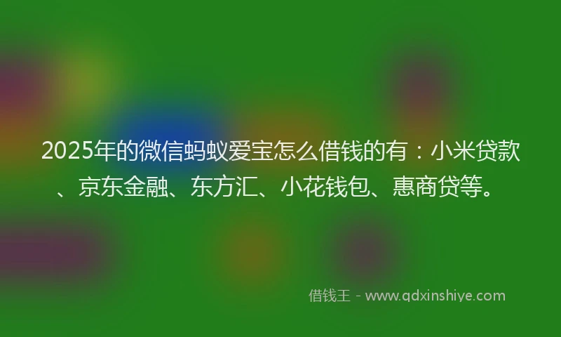 2025年的微信蚂蚁爱宝怎么借钱的有：小米贷款、京东金融、东方汇、小花钱包、惠商贷等。