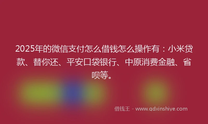 2025年的微信支付怎么借钱怎么操作有：小米贷款、替你还、平安口袋银行、中原消费金融、省呗等。