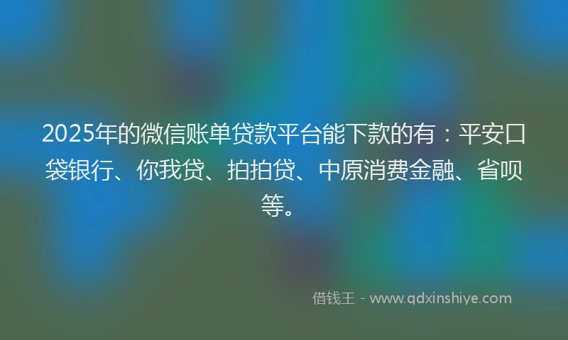 2025年的微信账单贷款平台能下款的有：平安口袋银行、你我贷、拍拍贷、中原消费金融、省呗等。