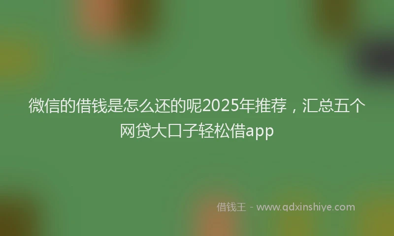 微信的借钱是怎么还的呢2025年推荐，汇总五个网贷大口子轻松借app