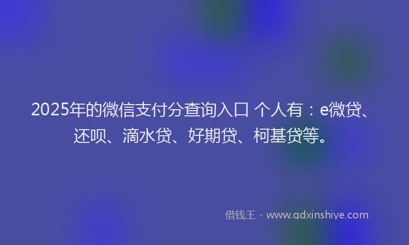 2025年的微信支付分查询入口 个人有：e微贷、还呗、滴水贷、好期贷、柯基贷等。