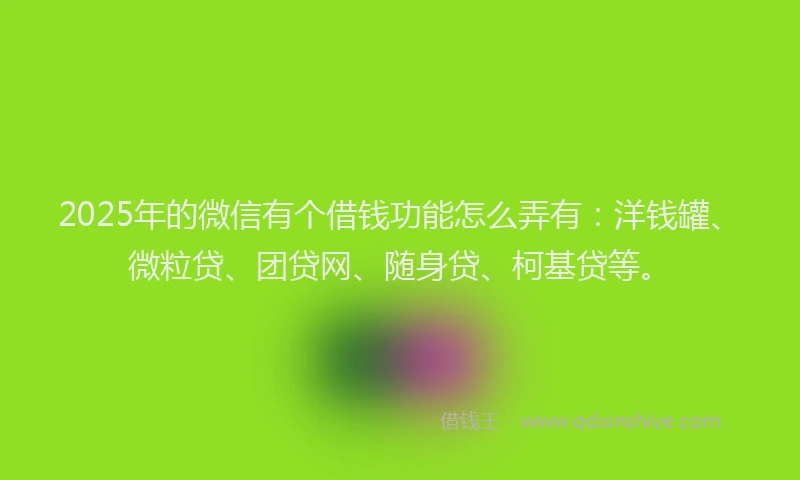 2025年的微信有个借钱功能怎么弄有：洋钱罐、微粒贷、团贷网、随身贷、柯基贷等。